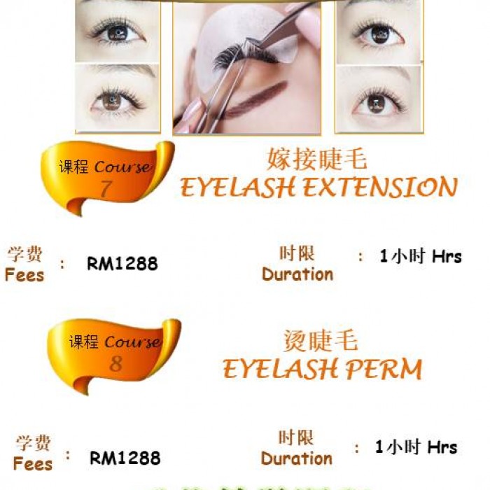 Online Eyelash Perm/Eyelash Extension Course
